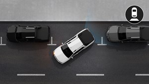 oroch -Cámara de reversa